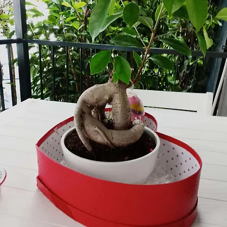 Apartament Il Borghetto House Grey Neapol